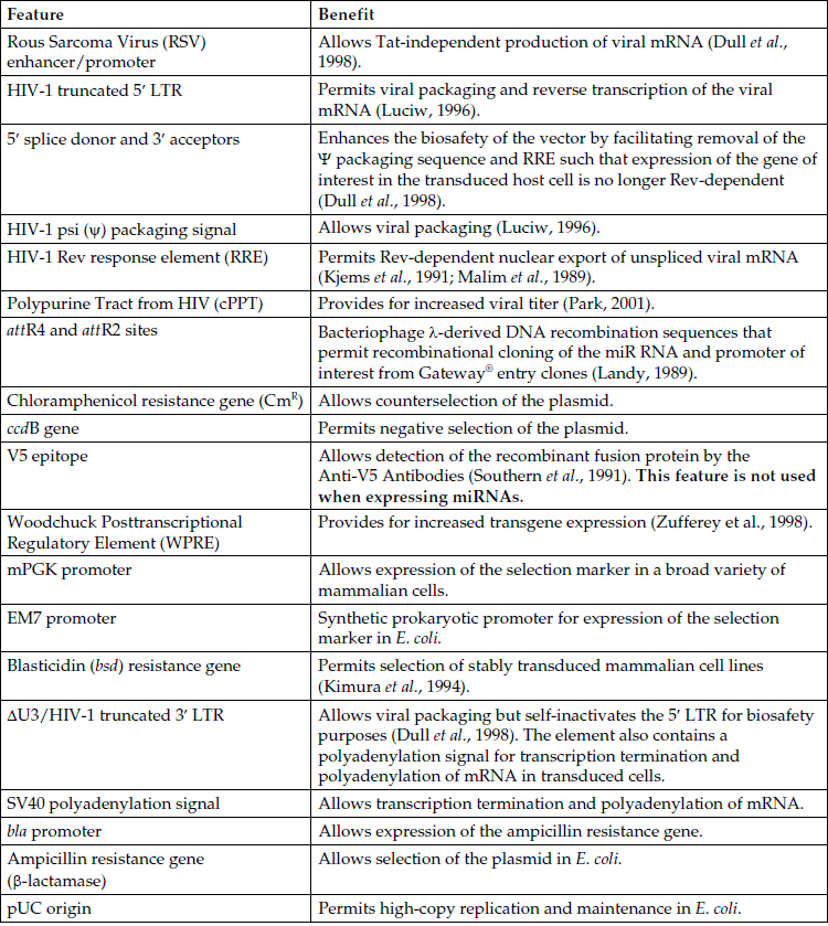 pLenti6.4-R4R2-V5-DEST 载体特征